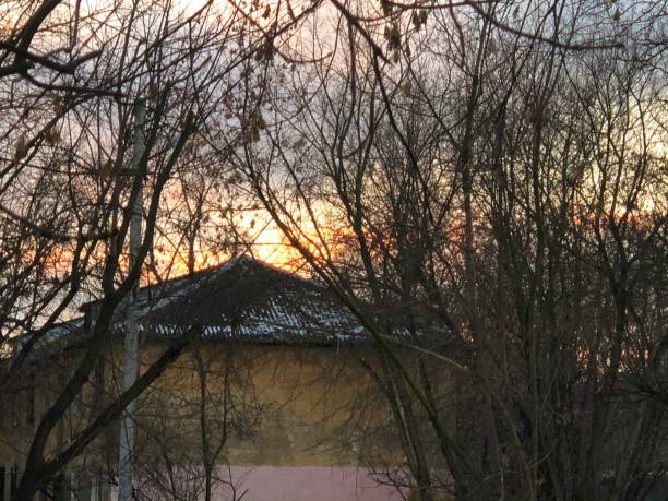 frosty winter evening with bright colors of sunset against the background of darkening trees