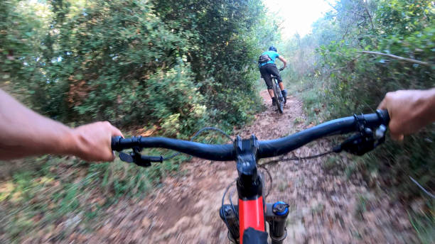 istock Mountain biker rides along forested path in the morning 1292753822