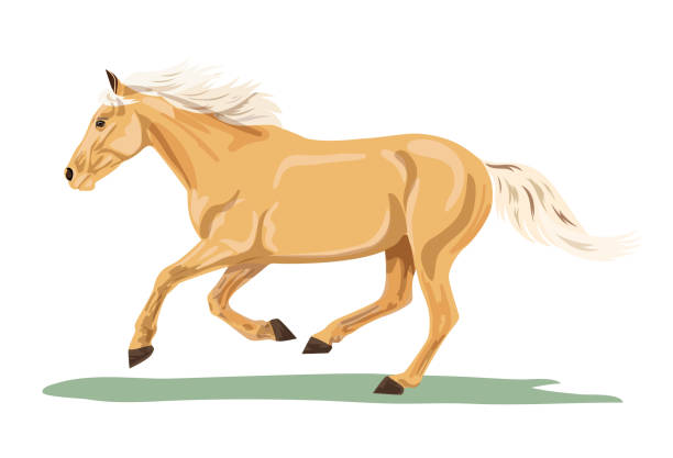 ilustrações de stock, clip art, desenhos animados e ícones de palomino horse running - palomino