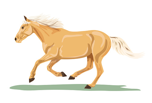 One horse running on a white background. Flat colors.