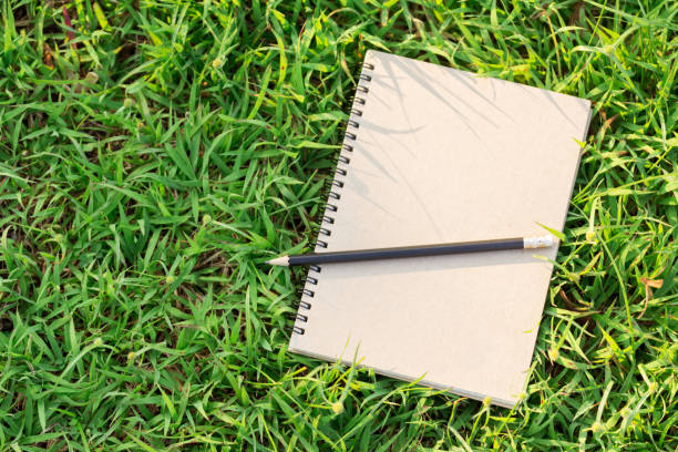 istock blank book on green grass and pencil 1292753861