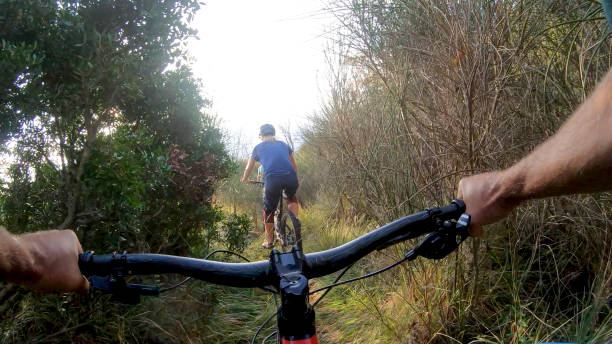 istock Mountain biker rides along forested path in the morning 1292754419