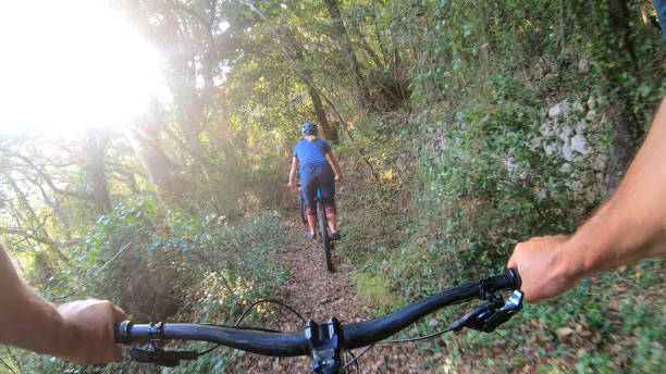 istock Mountain biker rides along forested path in the morning 1292754980