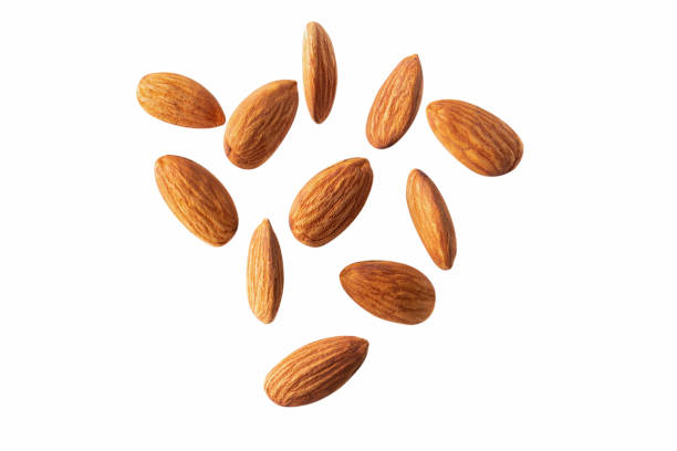 istock full almond fly on white isolated with clipping path 1292758798