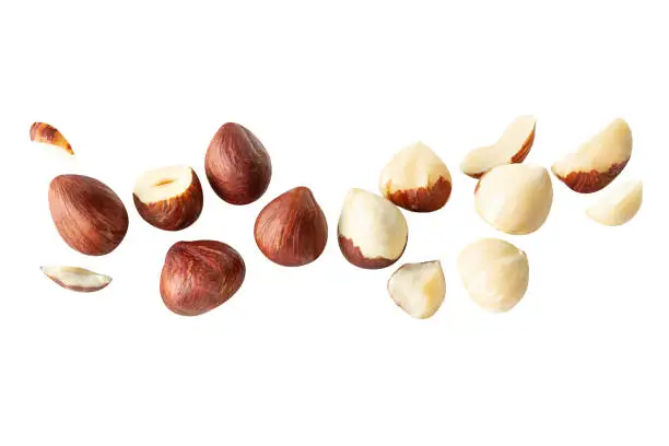 full hazelnuts halfs fly with nut type  on white isolated background