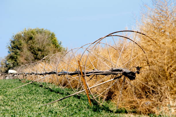 Tumbleweed Irrigation stock photo