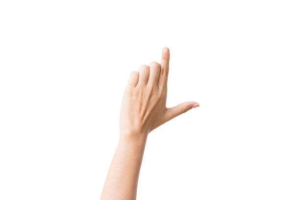 istock female hand on the isolated background 1292760979