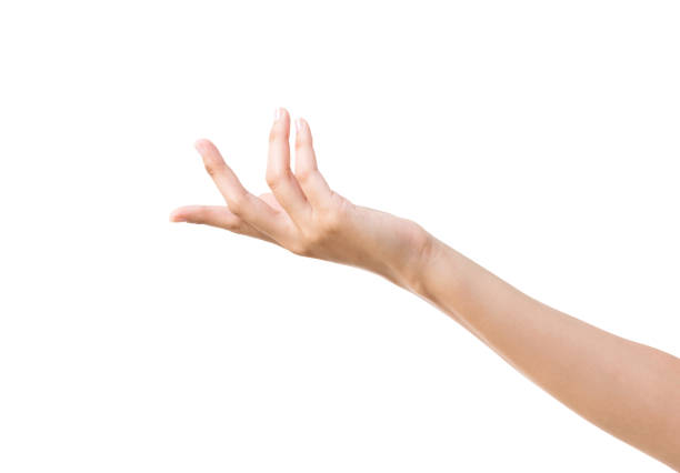 istock Open woman hand on white background 1292760984