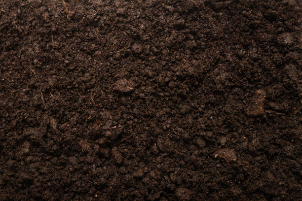 istock Black land for plant background. 1292764674