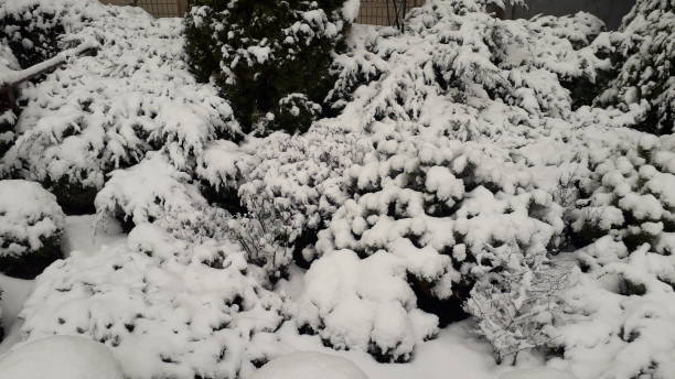 istock Snow-covered small architectural forms in the landscape design 1292765000