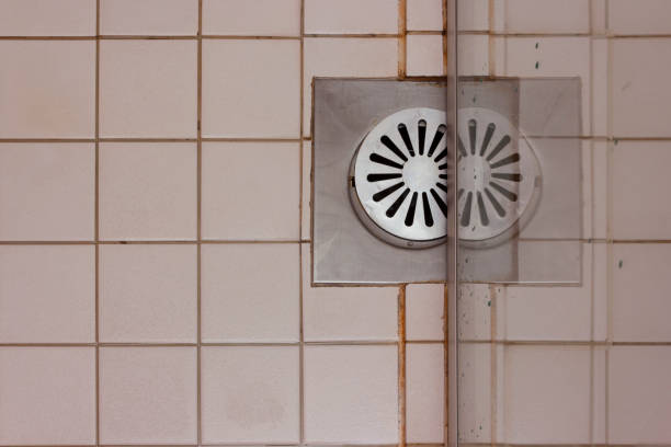 czarna pleśń na płytkach w kabinie prysznicowej.aspergillus - mold sink dirty mildew zdjęcia i obrazy z banku zdjęć