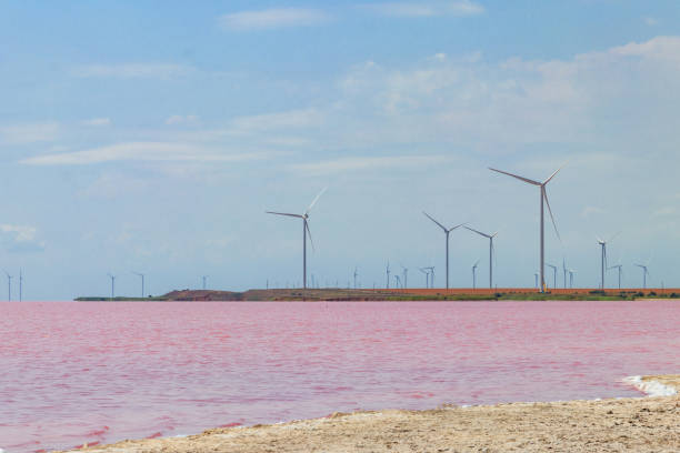 Wind turbines on a shore of the pink salty Syvash lake in Kherson region, Ukraine. Renewable energy Wind turbines on a shore of the pink salty Syvash lake in Kherson region, Ukraine. Renewable energy landscape alternative energy scenics farm stock pictures, royalty-free photos & images