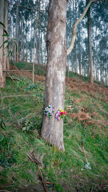 istock Plastic flowers tied to eucalyptus trunk 1292770274