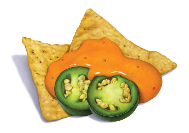 ser i frytki nacho - photo realism stock illustrations