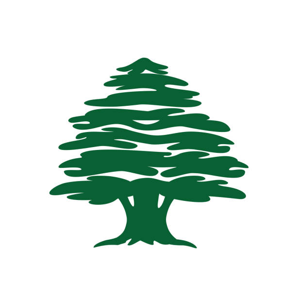 Abstract cedar tree icon Abstract cedar tree. Lebanese cedar silhouette can be used in logo design, icon, symbol. Vector illustration. forest symbols stock illustrations