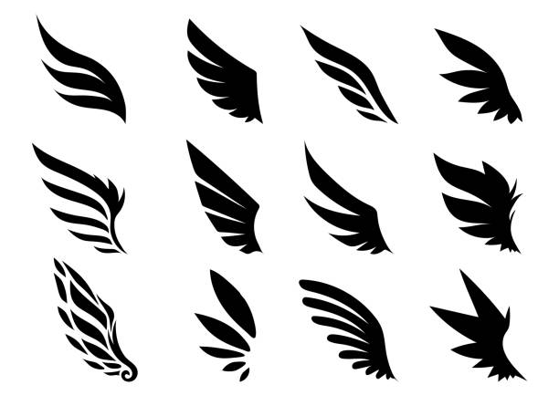 wing collection - flugel stock-grafiken, -clipart, -cartoons und -symbole