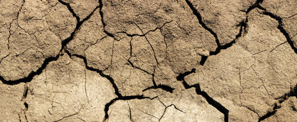 istock cracks in the ground background, black earth 1292792834
