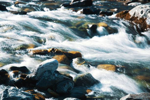 fiume di montagna scorre attraverso rocce e pietre immagine a lunga esposizione a davos svizzera - stream river water spring foto e immagini stock