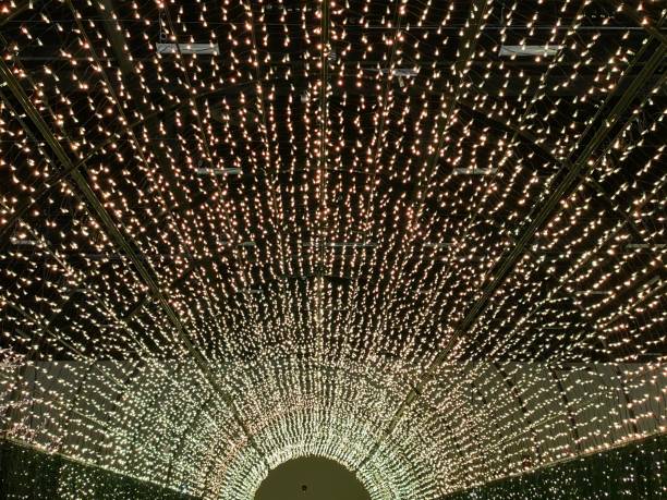 istock Colourful outdoor Christmas light display in Calgary 1292800064