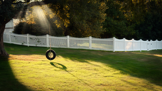 The morning sun shines on a tire swing hanging from a tree in Castine, Maine.