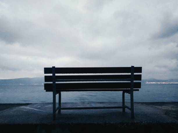 bench by lake