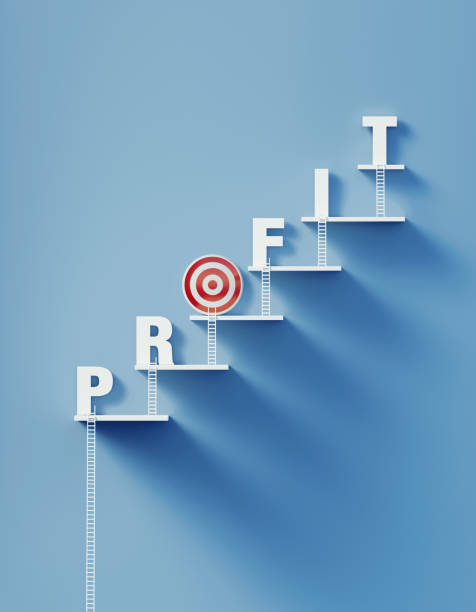 istock White Ladders Lean over A Bull's Eye Target and Write Profit on Blue Wall 1292807263