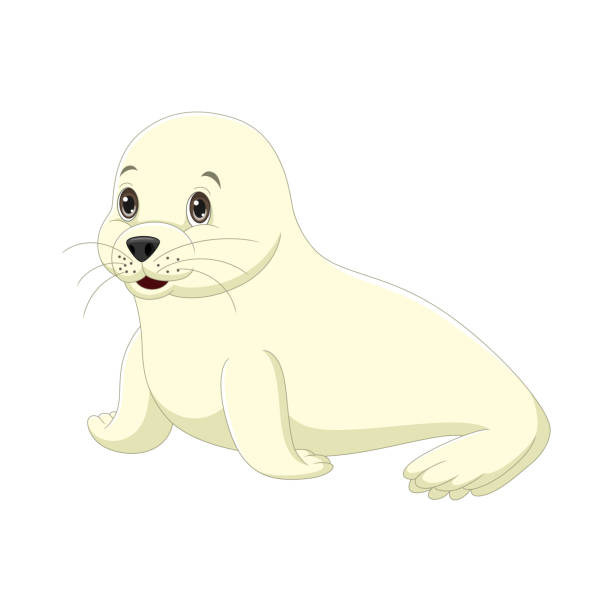Walrus Cartoon Sea Life Characters Illustrations, Royalty-Free Vector Graphics & Clip Art - iStock Walrus Cartoon Sea Life Characters Illustrations, Royalty-Free Vector Graphics & Clip Art - iStock