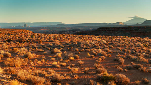 istock View Across Desert Towards LeChee Rock at Sunrise 1292808803