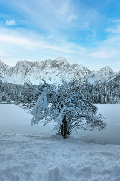 istock Fusine lake winter landscape 1292809569