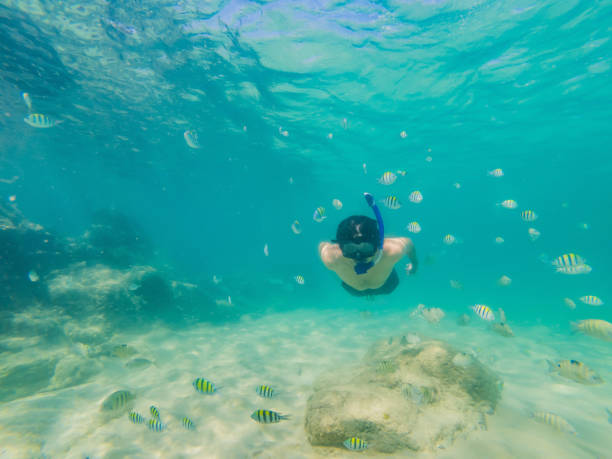 istock young men snorkeling exploring underwater coral reef landscape background in the deep blue ocean with colorful fish and marine life 1292813376
