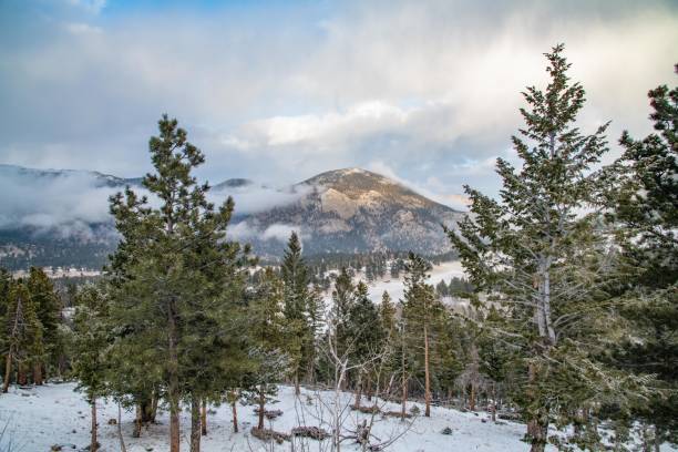 istock Trees and snow with mountain and sky in background 1292814219
