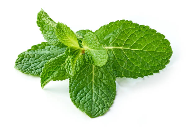 istock fresh green mint leaves isolated on white background 1292815800