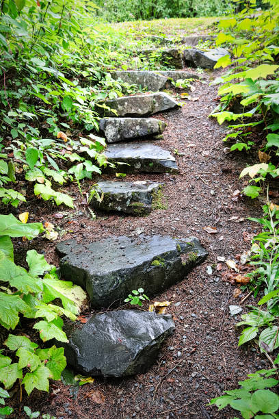 Vertical picture of stepping stone steps in a forest area.