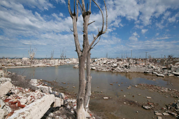 Epecuen Carhue, Argentina - 18th october 2018: Ruins in Villa Epecuen, province of Buenos Aires, Argentina. The village was flooded by the lake of the same name in the 1980s and recently its ruins have been exposed again as a ghost town. snag tree stock pictures, royalty-free photos & images