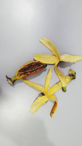 Banana and banana peels