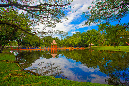 Taiping lake located in Malaysia and became a place of leisure and tourist attractions of the country