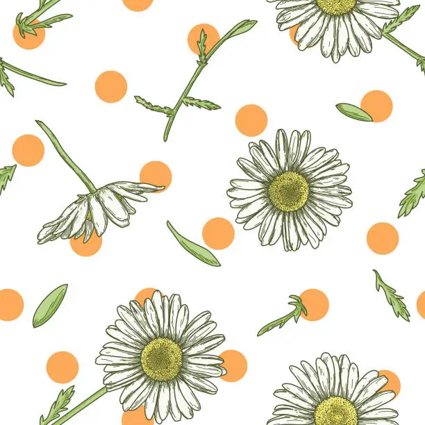 Vector illustration of Dainty Polka Dot and Cute Vintage Daisy Seamless Pattern