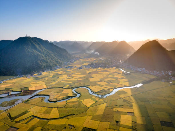 istock Bac Son valley with yellow rice fields in harvest season in Bac Son district, Lang Son province, Vietnam 1292832435