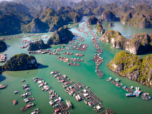 pływająca wioska rybacka w lan ha bay, wietnam - halong bay vietnam bay cruise zdjęcia i obrazy z banku zdjęć