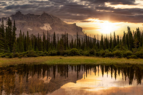 istock Beautiful Canadian Nature landscape view 1292835222