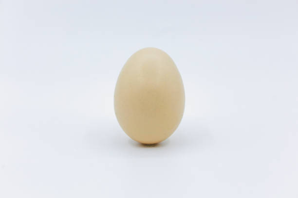 istock Fresh and tasty country eggs 1292836691