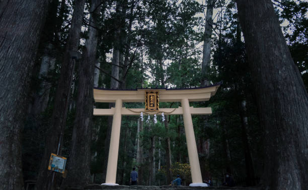 Higashimuro, Wakayama Prefecture / Japan, October 16 2020: View of traditional Japanese Shinto Torii gate leading through the forest to Nachi Falls waterfall at Hirou-jinja Shrine on an overcast early autumn day surrounded by trees.