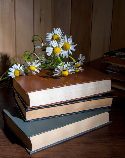 istock Daisies with a notebook, diary, notebook and stacks of books lie on the table, place for text, still life 1292842551