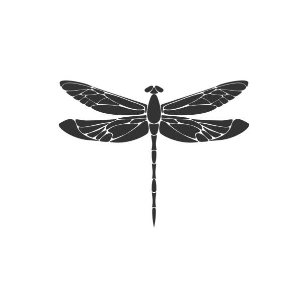 Dragonfly. Black dragonfly sign on white background. Flat design. Silhouette icon. Vector illustration Dragonfly. Black dragonfly sign on white background. Flat design. Silhouette icon. Vector illustration dragonfly drawing stock illustrations