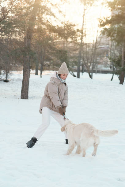 istock Woman playing with pet outside 1292846353