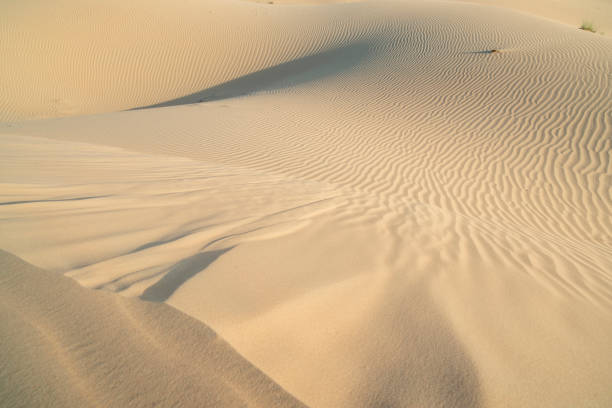 istock Arabian desert sand dunes. Abstract background. 1292847116