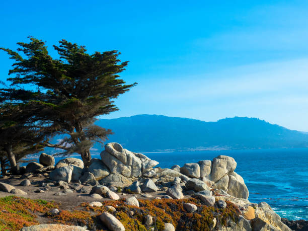 Panorama view of rocky coastline at 17 Mile Drive at Highway 1 in California A beautiful view of the California Coastline along the panoramic Route, State Road 1, California USA. Tourism and vacations concept. point lobos state reserve stock pictures, royalty-free photos & images