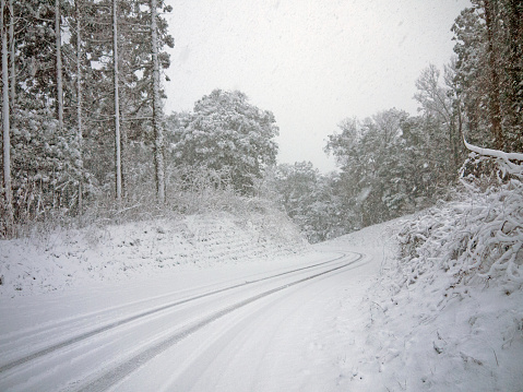 Walking Snowy lonely road in Pine forest, Noto peninsula, Japan