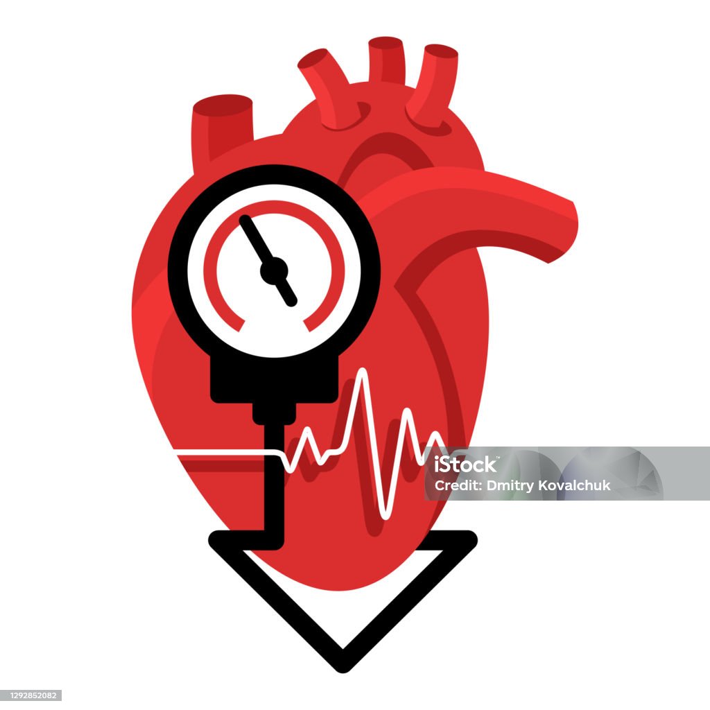 Ilustración de Bajar La Presión Arterial Con El Corazón Y Medir y más  Vectores Libres de Derechos de Indicador de presión sanguínea - Indicador  de presión sanguínea, Arteria, Bajo - Posición descriptiva - iStock