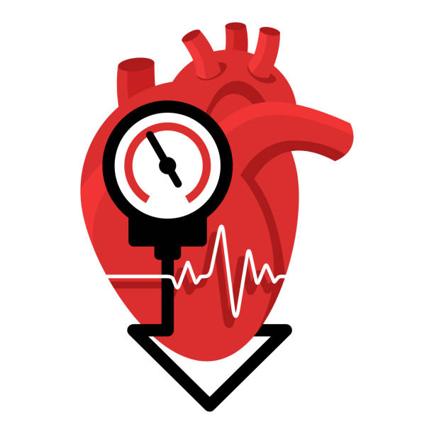 Ilustración de Bajar La Presión Arterial Con El Corazón Y Medir y más  Vectores Libres de Derechos de Indicador de presión sanguínea - Indicador  de presión sanguínea, Arteria, Bajo - Posición descriptiva - iStock